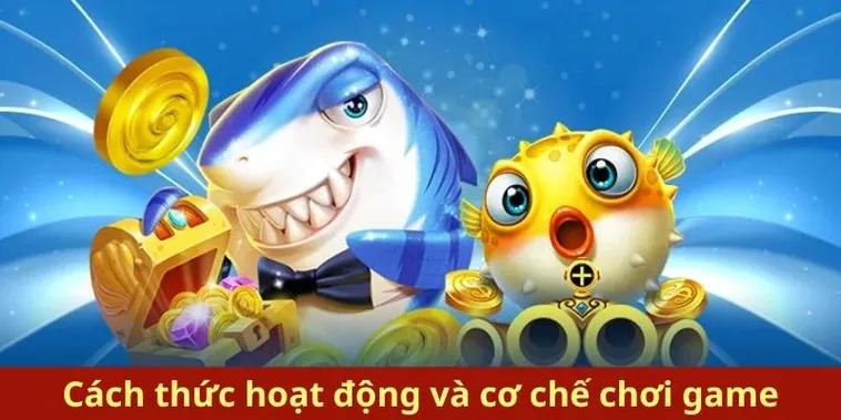 Cách Chơi Bắn Cá Royal Fishing Tại 8Day Săn Thưởng Cực Đã 1 Cách Chơi Bắn Cá Royal Fishing Tại 8Day Săn Thưởng Cực Đã