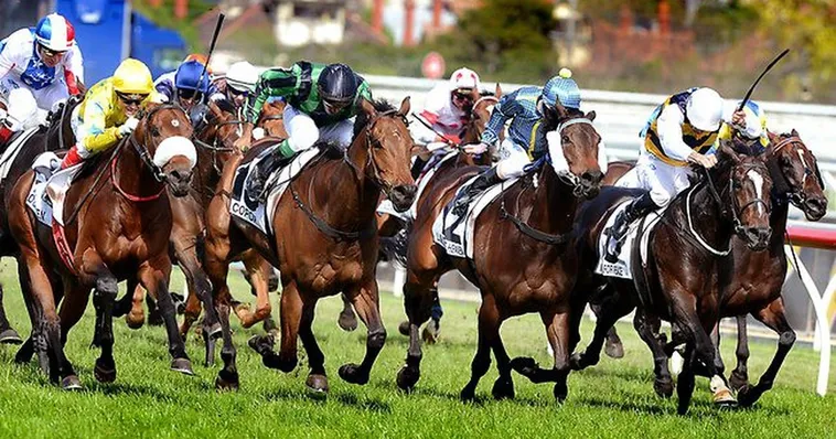 Cẩm Nang Cá Cược Đua Ngựa 8Day Chinh Phục Mọi Trường Đua 2 Cẩm Nang Cá Cược Đua Ngựa 8Day Chinh Phục Mọi Trường Đua